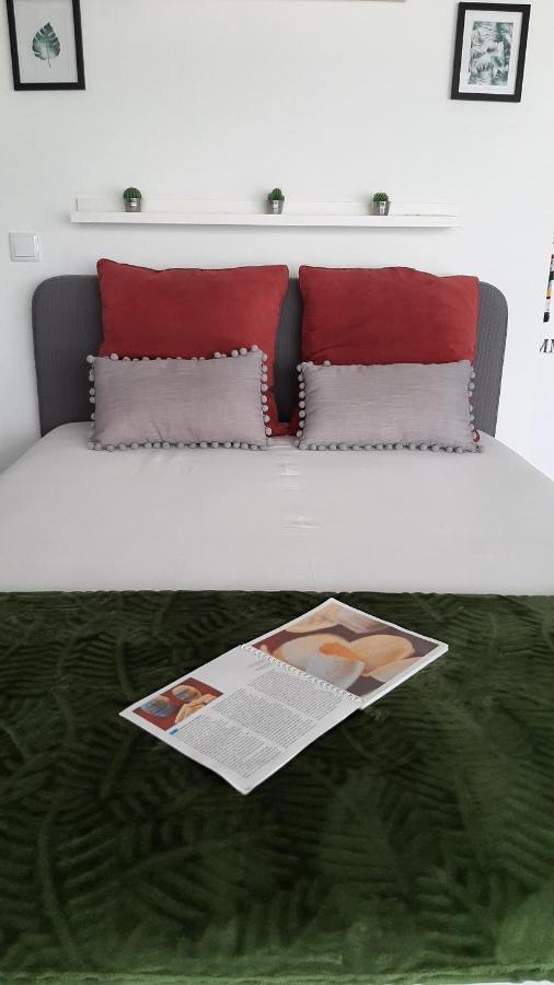 Love' In Aveiro Apartments - Blanc Εξωτερικό φωτογραφία